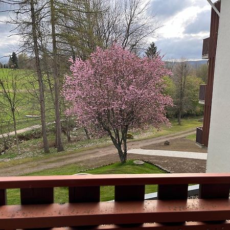 Koenigs Appartement Schluchsee Buitenkant foto